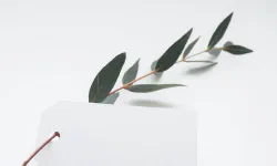 Featured image of post 统计学分析思维